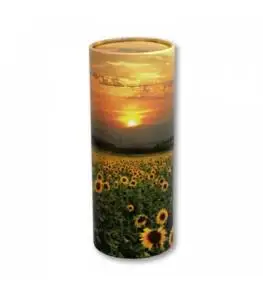 urne-funeraire-tube-de-dispersion-7-263x300